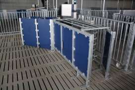 新的標準可神奇地達到30！