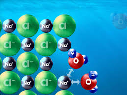 飼料電解質平衡與動物營養