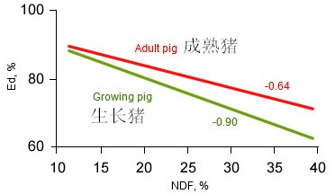 審查酶在仔豬營養，作用和盈利方面的應用