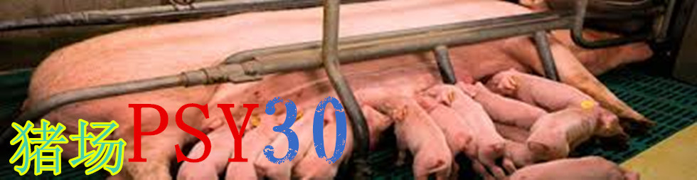 如何實現豬場PSY30目標？