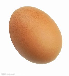 根據雞蛋變化判斷飼料配制中的不足