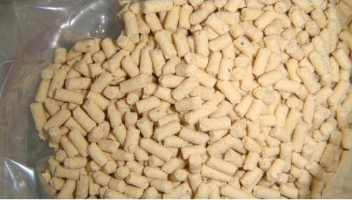 教槽料的本質是什么？