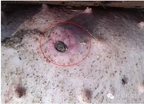 范春賀：產房里的一個小問題