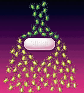 食源性細菌的耐藥率升高