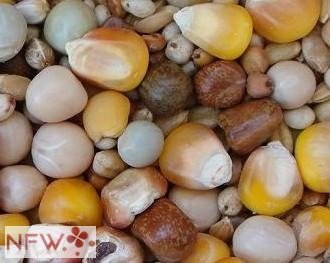 淺談中小型飼料企業如何進行產品的精工細作（三）