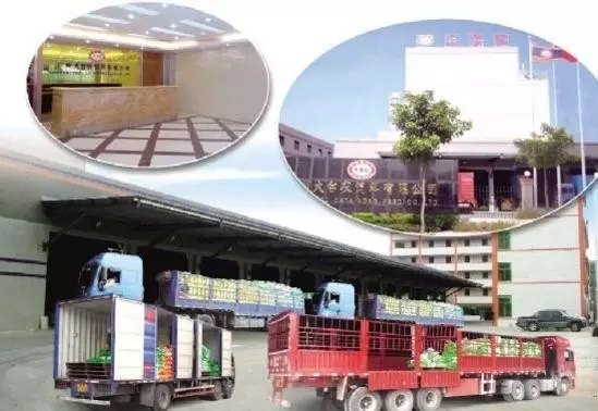 大臺農的“無標準”營銷這么牛？輻射全國創30億銷售額