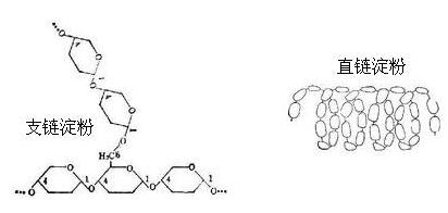 直鏈支鏈淀粉比、膨化、儲存時間和酶制劑對斷奶仔豬玉米淀粉體內、體外消化率的影響