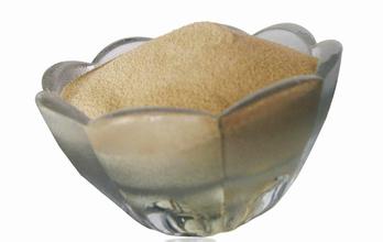 木聚糖酶對飼喂黑麥和小麥日糧生長豬回腸食糜粘度、纖維、營養物質消化率的影響