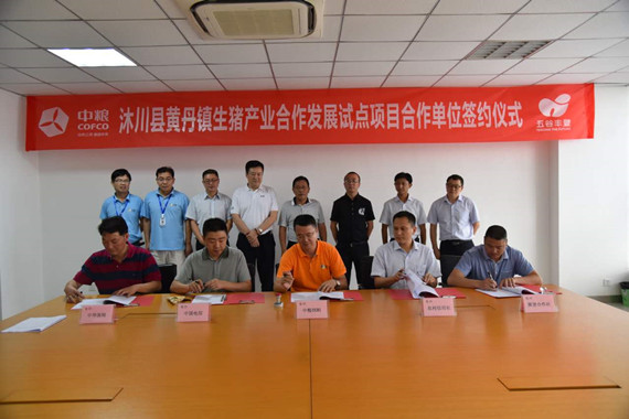 央企聯姻養豬專業合作社  中糧飼料西南大區開啟精準扶貧新模式