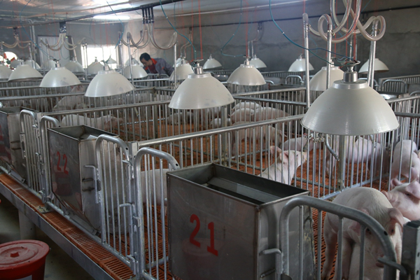 征泰制勝的五大法寶