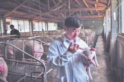 農業部辦公廳印發《2017年獸醫工作要點》