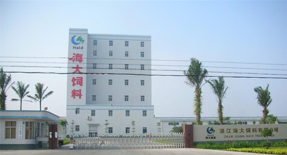 海大集團：6億元投資50萬頭豬苗場等項目