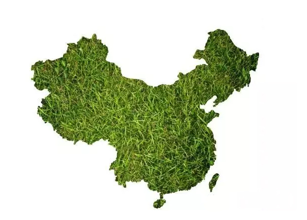 全國20省市霉菌毒素污染狀況分析