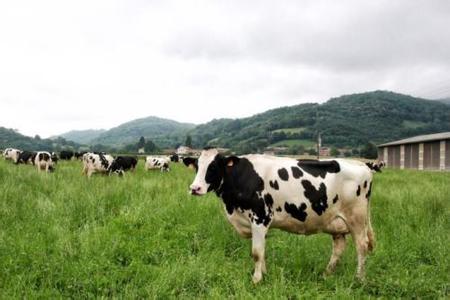 農業部要求推動休閑觀光牧場發展