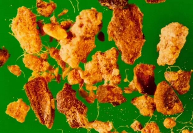 飼料原料術語及質量標準，很實用，建議永久保存！