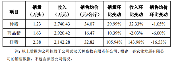 金新農2月銷售生豬 5.24 萬頭，仔豬銷量環比增長105.94%