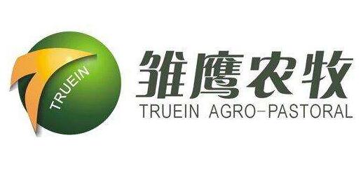 驚呆了！雛鷹在雄縣有233畝地規劃