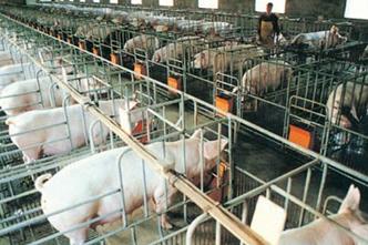 禁養區養殖場拆遷有補償 但這些養殖戶可能領不到！