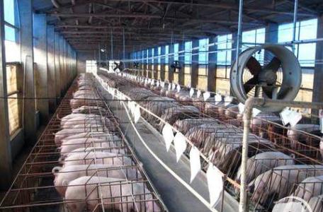 原來“一帶一路”對農業的影響這么大！農民的機遇來了？