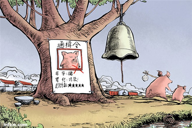 禁養拆豬場原來還有這門道！