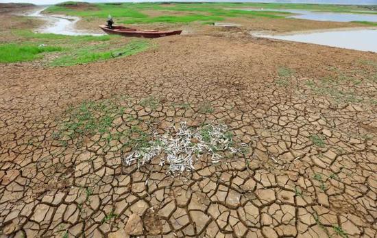 農業部門主動應對旱澇災害造成局部農業損失