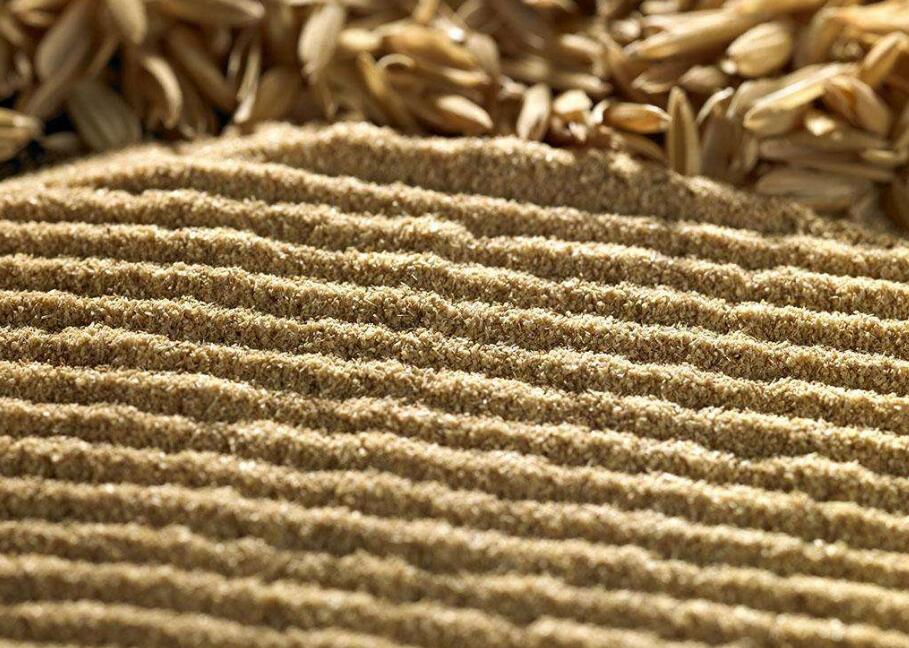 我國飼料法規(guī)到底有哪些以及《飼料衛(wèi)生標(biāo)準(zhǔn)》的前世今生