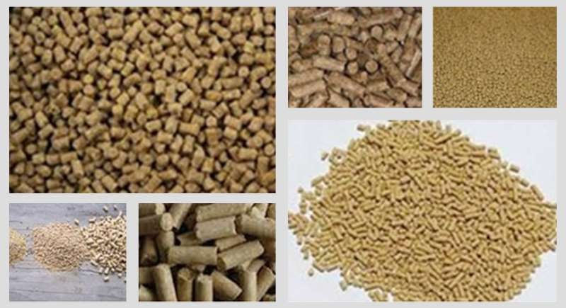 2017中國飼料行業發展分析 新希望海大集團通威股份領先