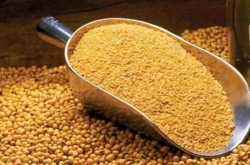 飼料品質(zhì)提升的“八度管理”經(jīng)驗與關(guān)鍵點淺析（一）