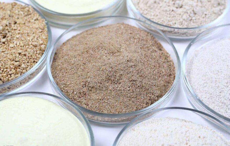 飼料調味劑對育成期藍狐采食量、營養物質消化率、氮代謝及生長性能的影響