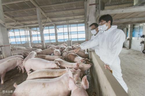 豬場都該做哪些疫苗？