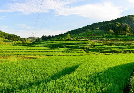 農業農村部關于印發《農業綠色發展技術導則（2018—2030年）》的通知