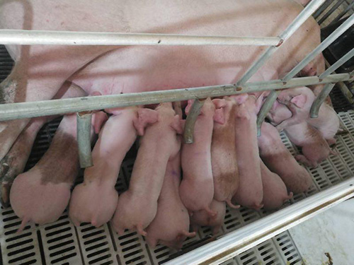 行情進入低谷！調整銷售策略就能賺錢！