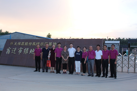 青年雞示范引領 造福中國蛋雞業 宮桂芬副秘書長一行蒞臨大偉嘉宿遷青年雞示范場參觀指 ...