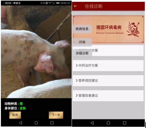 2019年智能養殖將進入高速發展期，挺好科技成為先行者