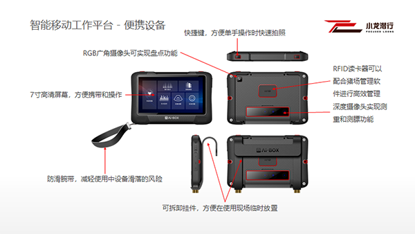 AI養殖新貴上位記：看小龍潛行是如何火起來的