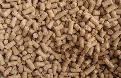 生物飼料在養(yǎng)殖生產中的應用