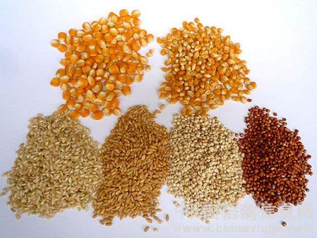 優(yōu)質(zhì)“微量元素預(yù)混合飼料”生產(chǎn)的關(guān)鍵點(diǎn)控制