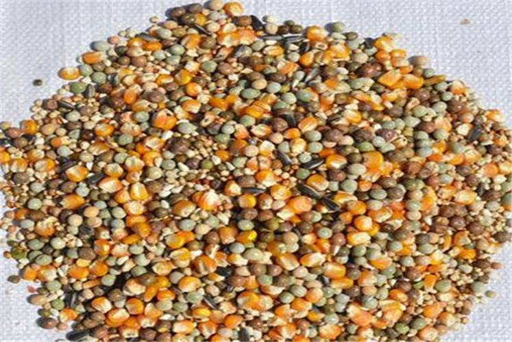 自配料也要規(guī)范了！山東發(fā)布22條相關(guān)措施規(guī)范自配料用戶！