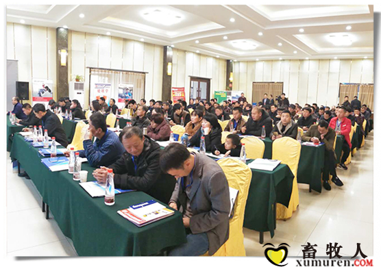 環(huán)山集團飼料事業(yè)部-魯南戰(zhàn)區(qū)首屆生豬精準