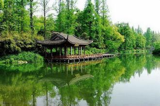 農業部第977號公告的通知（單一飼料產品目錄）