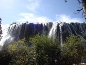 中華人民共和國農業(yè)部公告第1305號