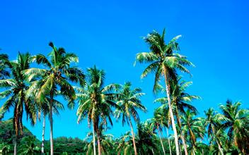 王金印：私募股份基金如何幫助被投資企業發展