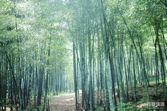 敕勒川國際動物疫苗創新大會盛大開幕 —“科技引領未來 共享同一健康”