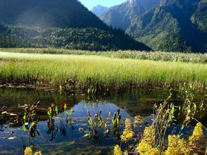 賀第二屆商業配方師（北京）研習班圓滿成功