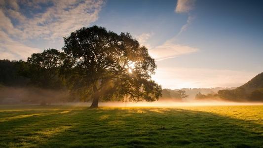 《論語》看飼料營銷