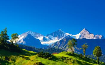 畜牧人·企業戰略發展高層論壇在京隆重開幕