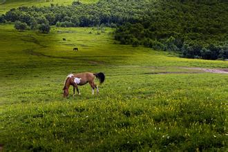 《沙盤推演》第一場特別報道