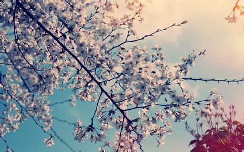 油脂問(wèn)題，有圖求解