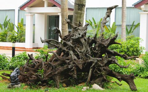  配合飼料的采樣方法