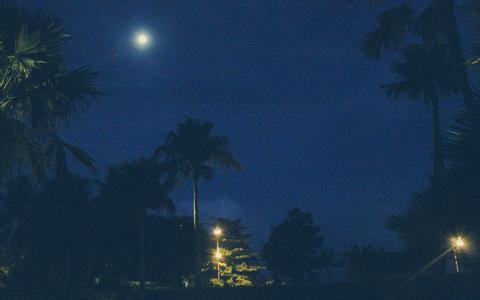 飼料轉化率、飼料利用率、飼料報酬、飼料系數、料肉比區別